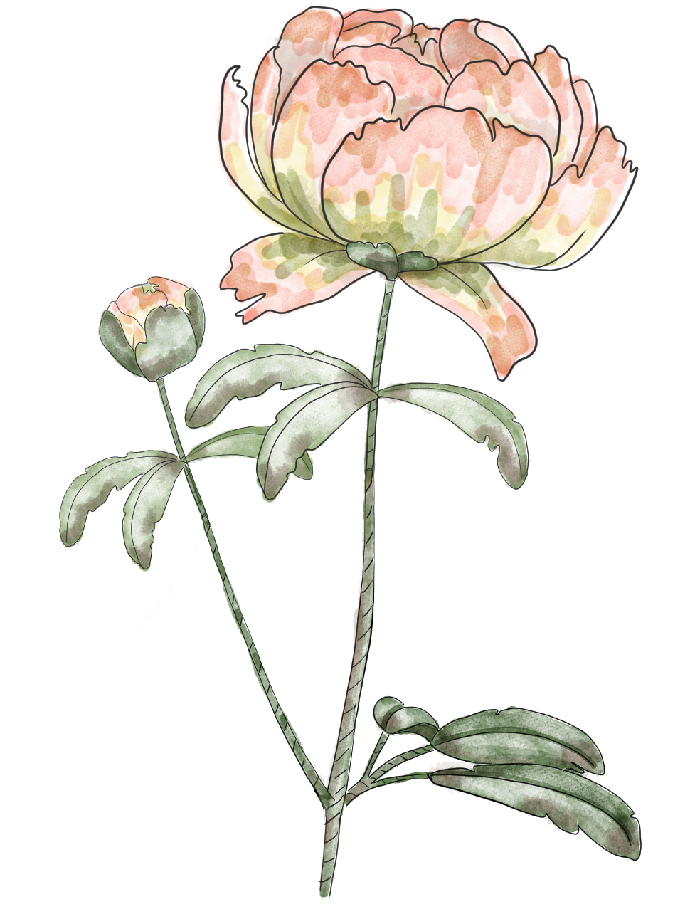 Pion